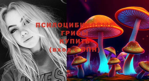 спиды Алексеевка