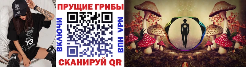 OMG зеркало  Казань  Псилоцибиновые грибы ЛСД 